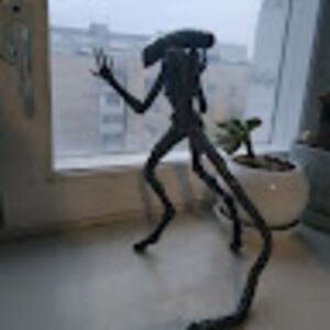 Meet your Posher, Awkward